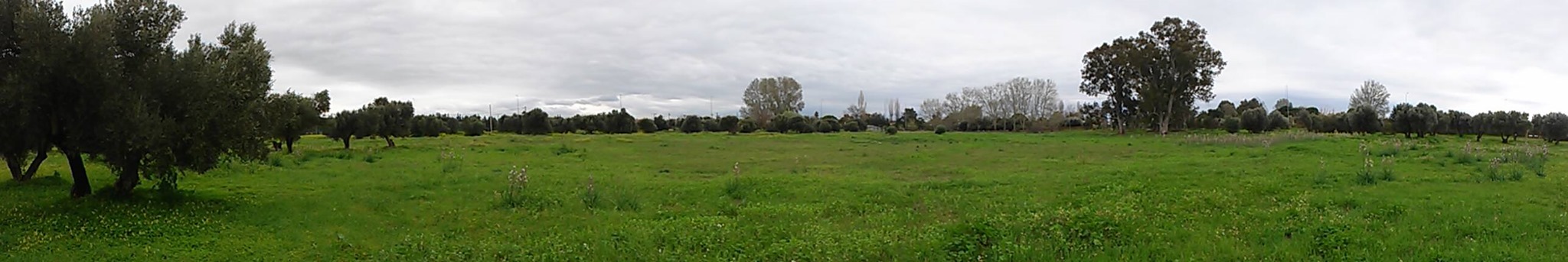 11021388_939741412736978_646708879038303755_o